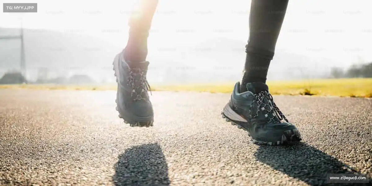 乐天堂官网——🏇🌄驾驭风的方向，追逐梦想！